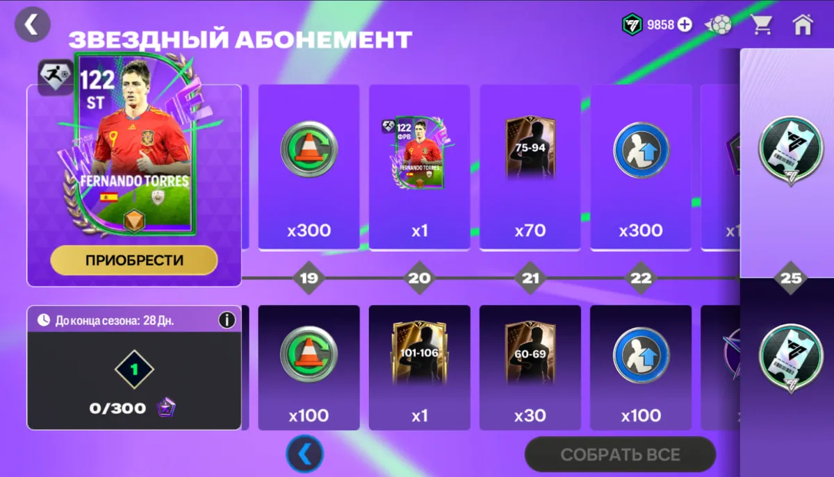 🌟Абонемент ЧМ TORRES